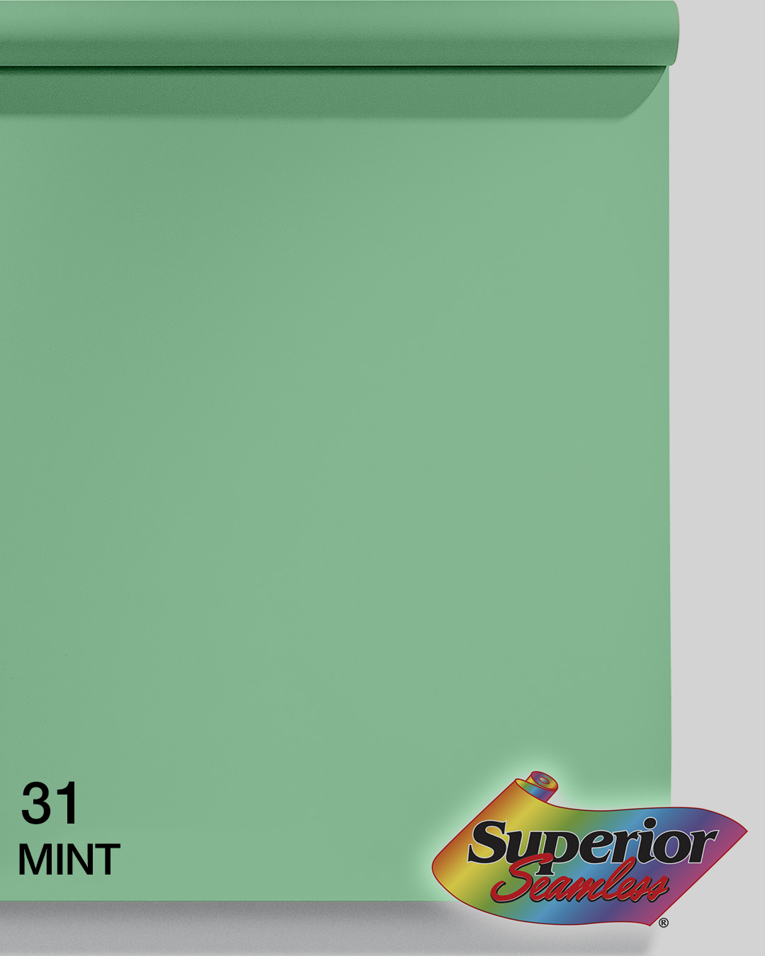 Superior Seamless Mint Green #031 Photography Backdrop