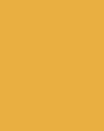 #35 Yellow Orange (3) - StudioBackdrops.com