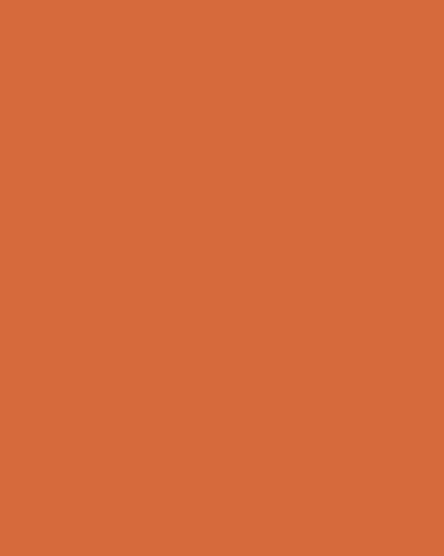 #39 Bright Orange (3)
