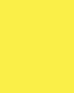#50 Aspen (3) - StudioBackdrops.com