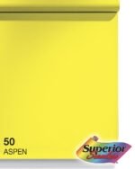 #50 Aspen (4) - StudioBackdrops.com