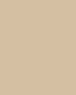 #66 Wheat (3) - StudioBackdrops.com