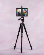 Backdrop-BE-FD-007 (2) - StudioBackdrops.com