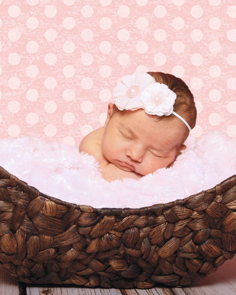 Ella Bella Pink Soft Baby Photoshoot Background 4ft