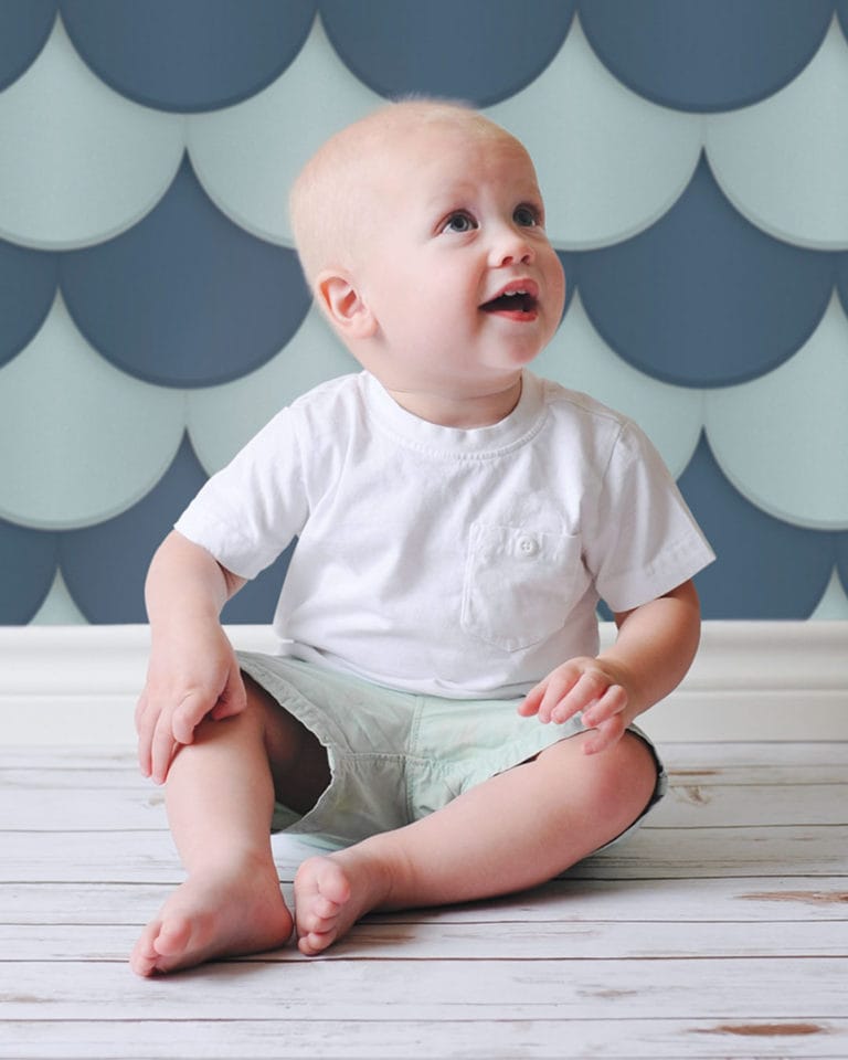 Ella Bella Navy Scallop Baby Photoshoot Background 4ft