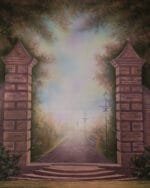 StudioBackdrops07542 - StudioBackdrops.com