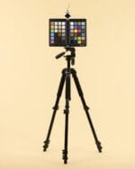 Backdrop-SF-SDF-018 (2) - StudioBackdrops.com
