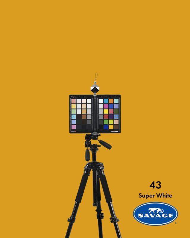 Savage Seamless Paper Background 43 Marmalade