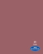 81-Rustic-Savage-Seamless-Paper-1 - StudioBackdrops.com