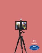 92-Flamingo-Savage-Seamless-Paper-2 - StudioBackdrops.com