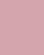 CB-PV185-009 Bubblegum (2) - StudioBackdrops.com