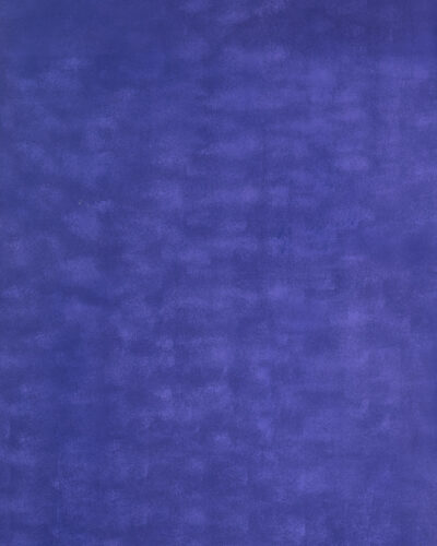 BE-RLR-010 Grape Purple Brushwork Backdrops (1)