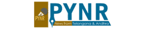 Pynr-Logo - StudioBackdrops.com