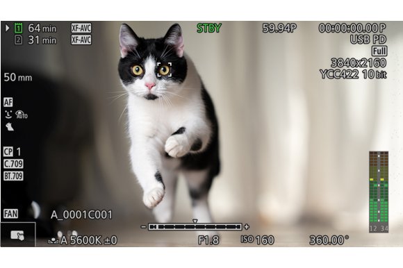 Canon-EOS-C50-Full-Frame-Cinema-Camera_0012 - StudioBackdrops.com